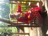 DCP_1187
