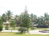 DCP_1017